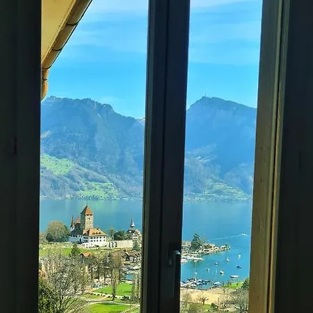 Swiss *